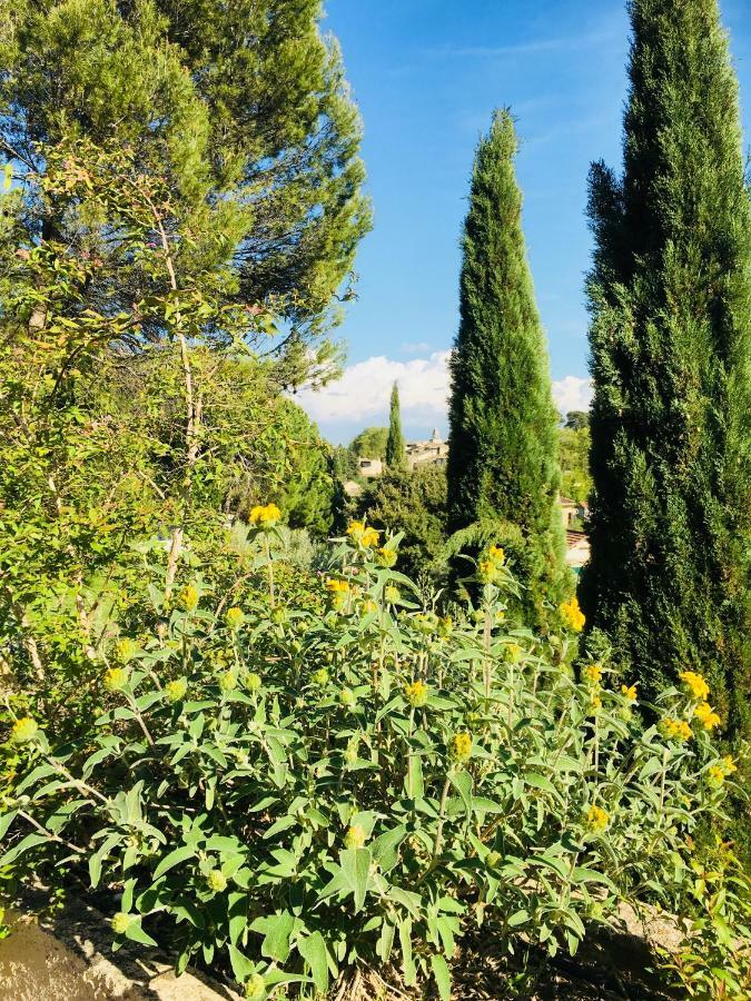 Les 3 Saisons Bed & Breakfast Cucuron Exterior photo